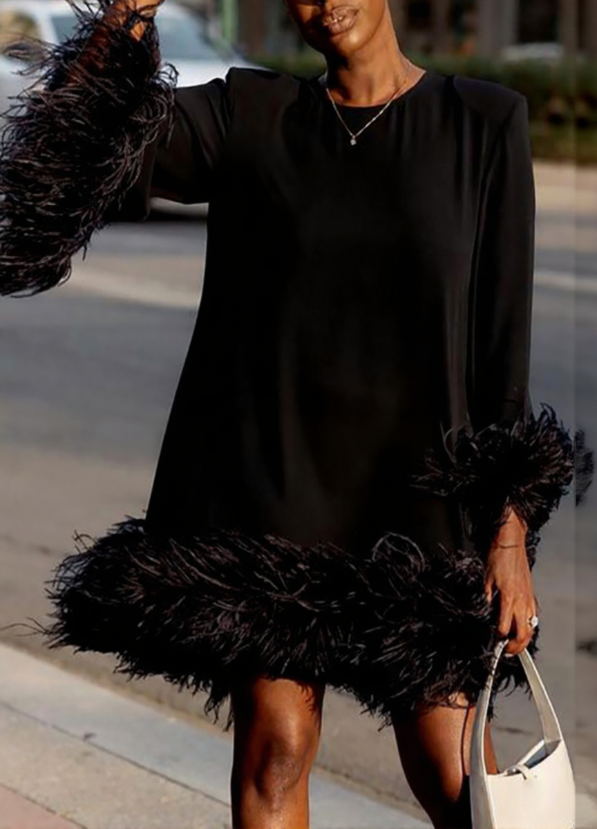 Feathered Asymmetrical Mini Dress