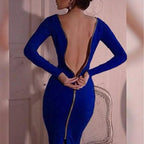 Bernadeth Bodycon Dress Featuring a Full-Length Back Zipper