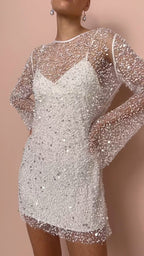 Shimmering Sheer Mesh Dress